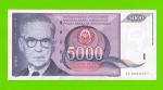 Югославия - 5000 динаров - 1991 (AA)
